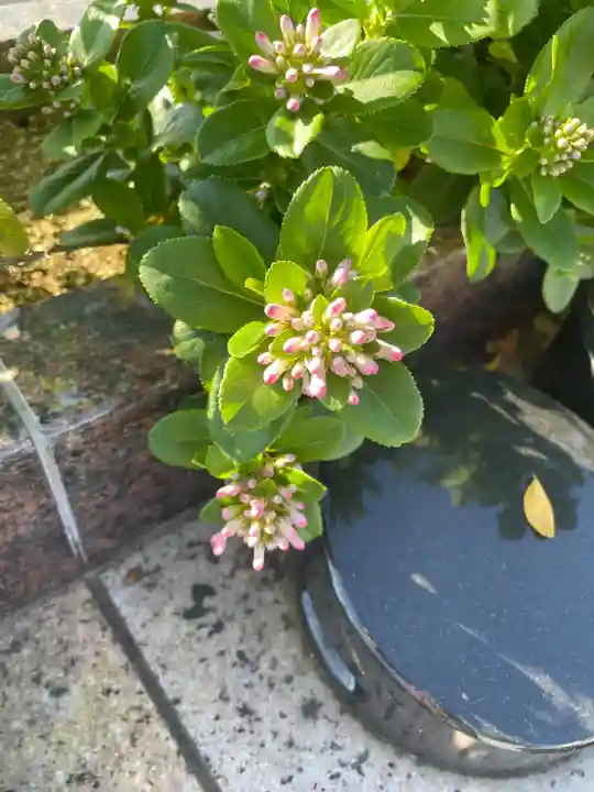 国上寺(新潟県)