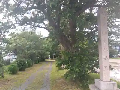 伊牟移神社(福井県)