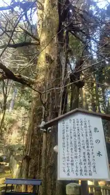 青玉神社(兵庫県)
