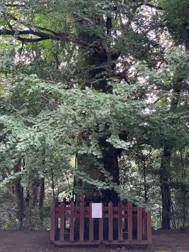 二上神社(宮崎県)