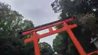 賀茂御祖神社(下鴨神社)(京都府)