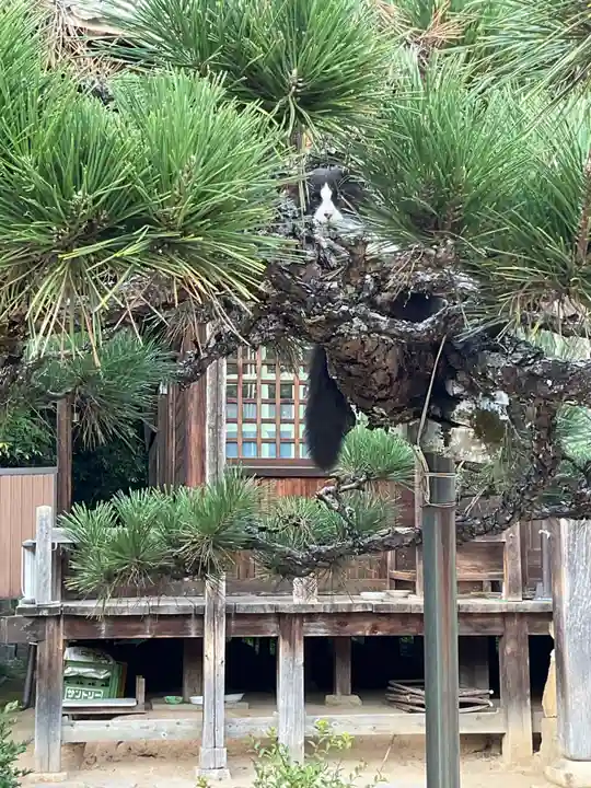 観音寺(愛知県)