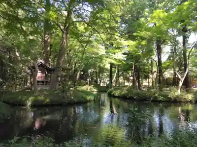 平林寺(埼玉県)