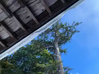 滑川神社 - 仕事と子どもの守り神の本殿・本堂