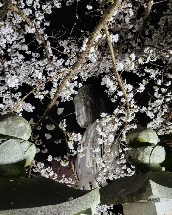 南法華寺(壷阪寺)(奈良県)