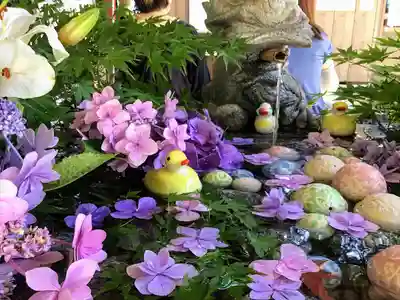 滑川神社 - 仕事と子どもの守り神の手水舎
