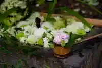 八幡宮(静岡県)