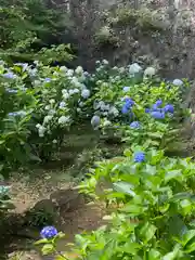 楽法寺（雨引観音）の自然