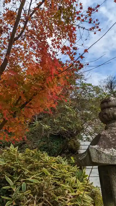 三室戸寺(京都府)
