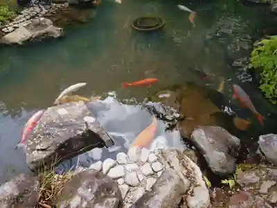 金蛇水神社(宮城県)