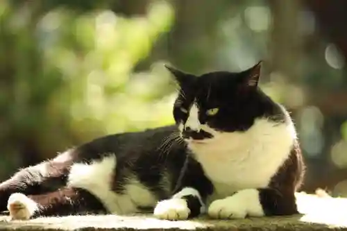 玉野御嶽神社(愛知県)