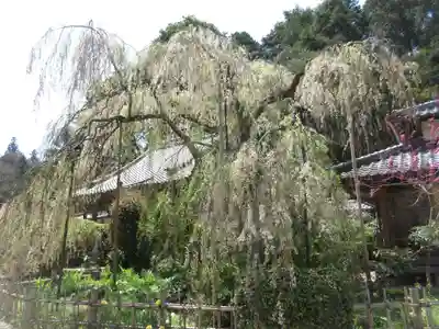 大野寺のその他建物