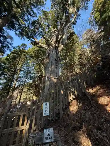玉置神社(奈良県)