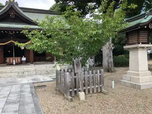 伴林氏神社(大阪府)