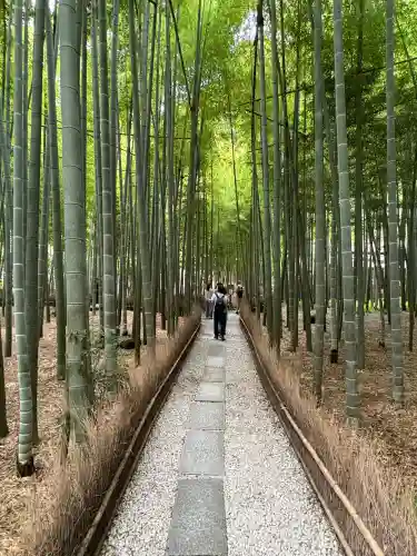 報国寺の{uncategorized: "未分類", other: "その他", undefined: "問題あり", building: "その他建物", grave: "お墓", sacred_gate: "鳥居", guardian: "狛犬", statue: "像", buddha: "仏像", history: "歴史", nature: "自然", garden: "庭園", animal: "動物", pagoda: "塔", temizu: "手水舎", mountain_gate: "山門・神門", sanctuary: "本殿・本堂", subordinate: "末社・摂社", art: "芸術", scenery: "景色", jizo: "地蔵", ema: "絵馬", goshuin: "御朱印", omikuji: "おみくじ", items: "授与品その他", amulet: "お守り", goshuincho: "御朱印帳", eats: "食事", festival: "お祭り", votive_dance: "神楽", shichigosan: "七五三参", wedding: "結婚式", experience: "体験その他", initially: "初詣", around: "周辺", anti_infection: "感染症対策"}