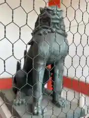 津観音の狛犬