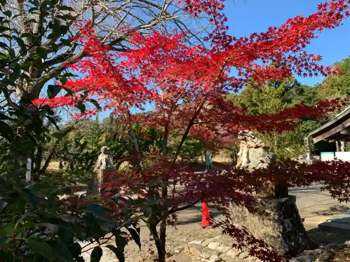 天神社(千葉県)