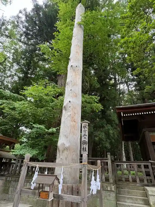 諏訪大社下社秋宮(長野県)