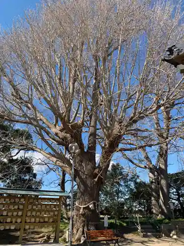 白子神社(千葉県)