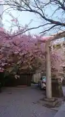 元三島神社の自然