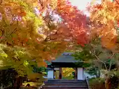 安楽寺(京都府)