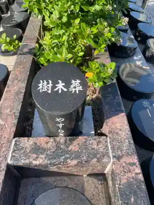 国上寺(新潟県)