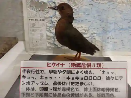 野木神社(栃木県)