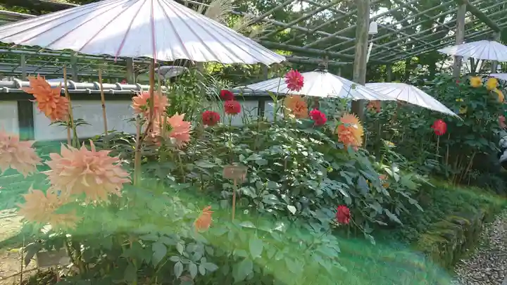 上野東照宮の自然