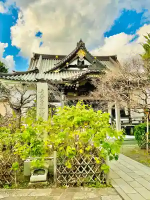妙隆寺(神奈川県)