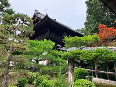 東福禅寺(東福寺)のその他建物