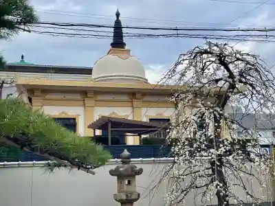 専西寺の{uncategorized: "未分類", other: "その他", undefined: "問題あり", building: "その他建物", grave: "お墓", sacred_gate: "鳥居", guardian: "狛犬", statue: "像", buddha: "仏像", history: "歴史", nature: "自然", garden: "庭園", animal: "動物", pagoda: "塔", temizu: "手水舎", mountain_gate: "山門・神門", sanctuary: "本殿・本堂", subordinate: "末社・摂社", art: "芸術", scenery: "景色", jizo: "地蔵", ema: "絵馬", goshuin: "御朱印", omikuji: "おみくじ", items: "授与品その他", amulet: "お守り", goshuincho: "御朱印帳", eats: "食事", festival: "お祭り", votive_dance: "神楽", shichigosan: "七五三参", wedding: "結婚式", experience: "体験その他", initially: "初詣", around: "周辺", anti_infection: "感染症対策"}