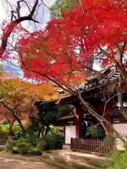 本土寺の自然