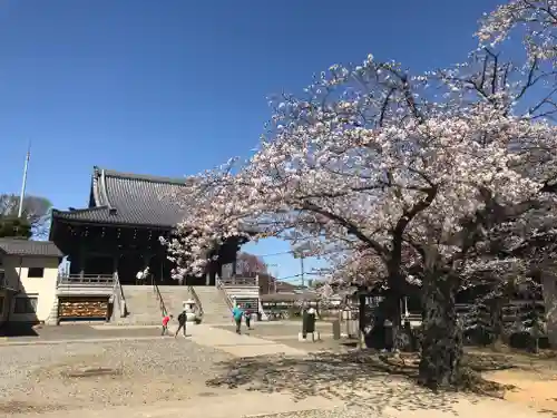 金蔵寺(千葉県)