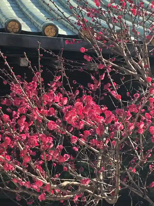 湯島天満宮の庭園