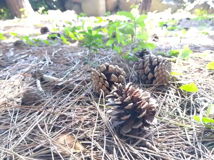 福井神社(福井県)