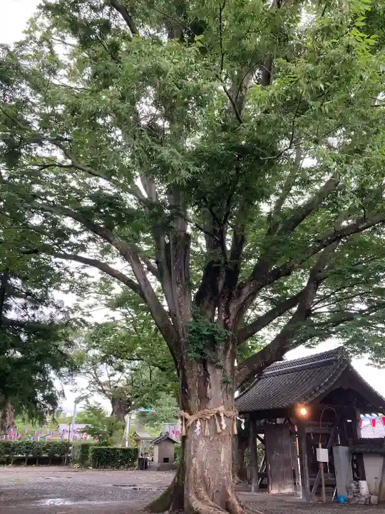 松本神社(長野県)