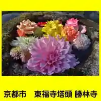 勝林寺の手水舎