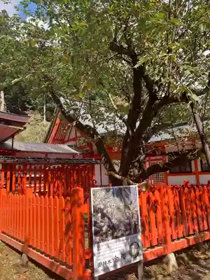 金櫻神社(山梨県)