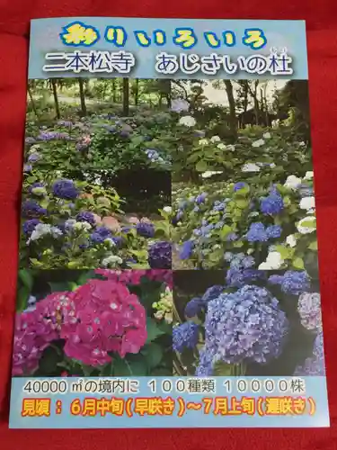 二本松寺(茨城県)