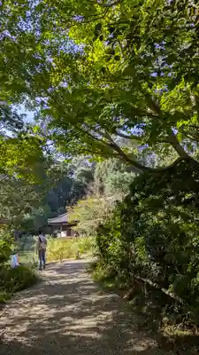 浄瑠璃寺(京都府)