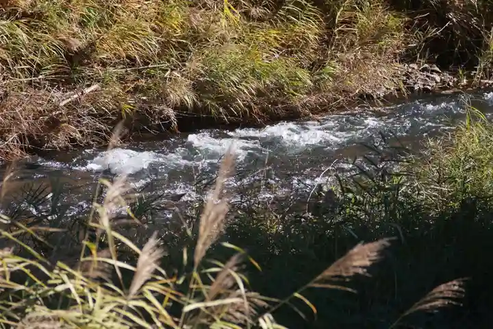 仁井田神社の周辺