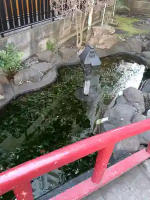 羽衣町厳島神社（関内厳島神社・横浜弁天）の{uncategorized: "未分類", other: "その他", undefined: "問題あり", building: "その他建物", grave: "お墓", sacred_gate: "鳥居", guardian: "狛犬", statue: "像", buddha: "仏像", history: "歴史", nature: "自然", garden: "庭園", animal: "動物", pagoda: "塔", temizu: "手水舎", mountain_gate: "山門・神門", sanctuary: "本殿・本堂", subordinate: "末社・摂社", art: "芸術", scenery: "景色", jizo: "地蔵", ema: "絵馬", goshuin: "御朱印", omikuji: "おみくじ", items: "授与品その他", amulet: "お守り", goshuincho: "御朱印帳", eats: "食事", festival: "お祭り", votive_dance: "神楽", shichigosan: "七五三参", wedding: "結婚式", experience: "体験その他", initially: "初詣", around: "周辺", anti_infection: "感染症対策"}