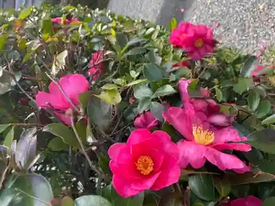 嘉祥寺のその他建物