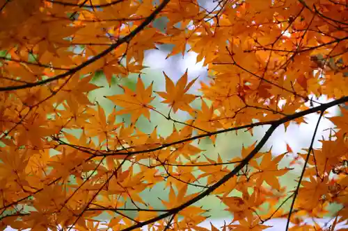 神炊館神社 ⁂奥州須賀川総鎮守⁂の庭園