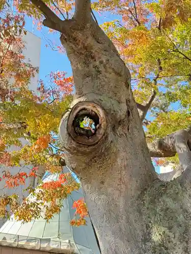 阿邪訶根神社(福島県)