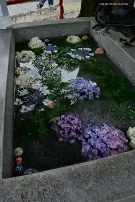 蛇窪神社の手水舎