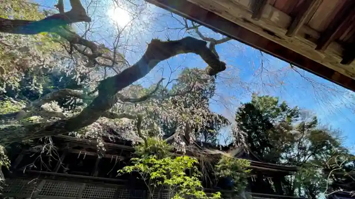 吉野水分神社(吉野町)の庭園