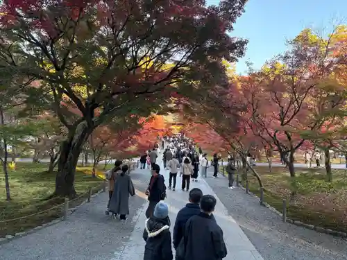 南禅寺(京都府)