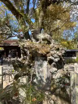吉香神社(山口県)