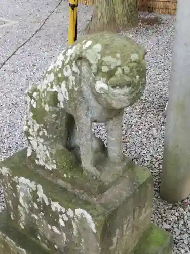 間々田八幡宮の狛犬